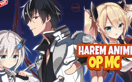 Top 10 Harem Anime With OP MC