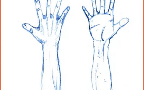 How to Draw Manga Hands and Feet for Beginners
