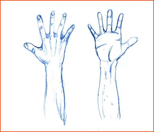 How to Draw Manga Hands and Feet for Beginners