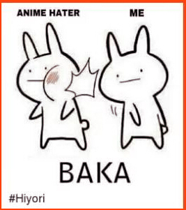 What Does Baka Mean?