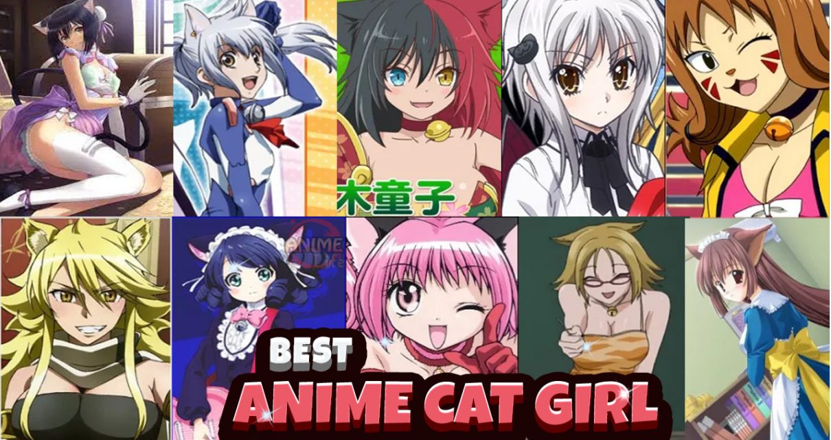 best anime cat girl