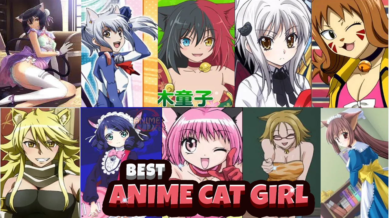 Top 10 Hottest Anime Catgirls