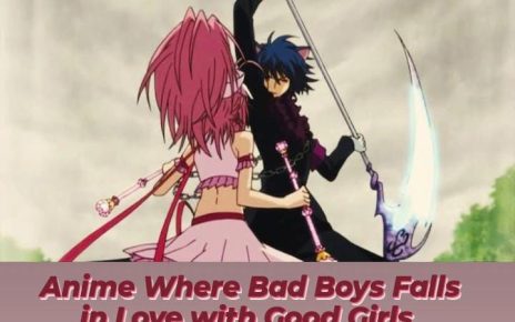 Anime Where Bad Boys Fall In Love With Good Girls!