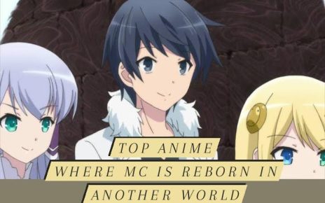 Anime where MC is reborn in another world