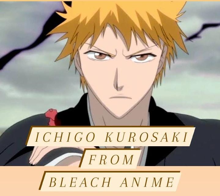 Ichigo Kurasaki - All You Need to Know about him