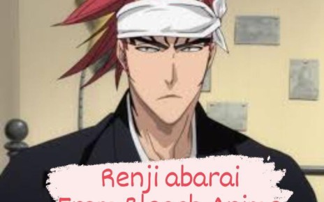 Renji Abarai from Bleach Anime