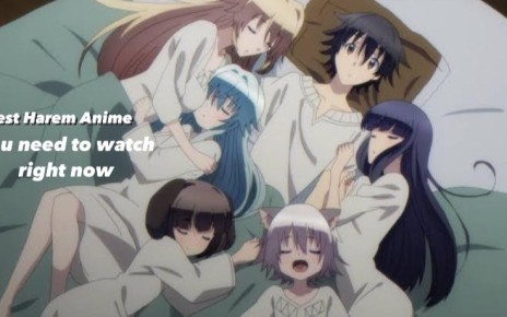 27 Best Harem anime you need to Watch Right Now