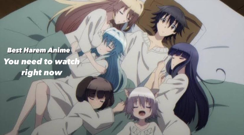 27 Best Harem anime you need to Watch Right Now