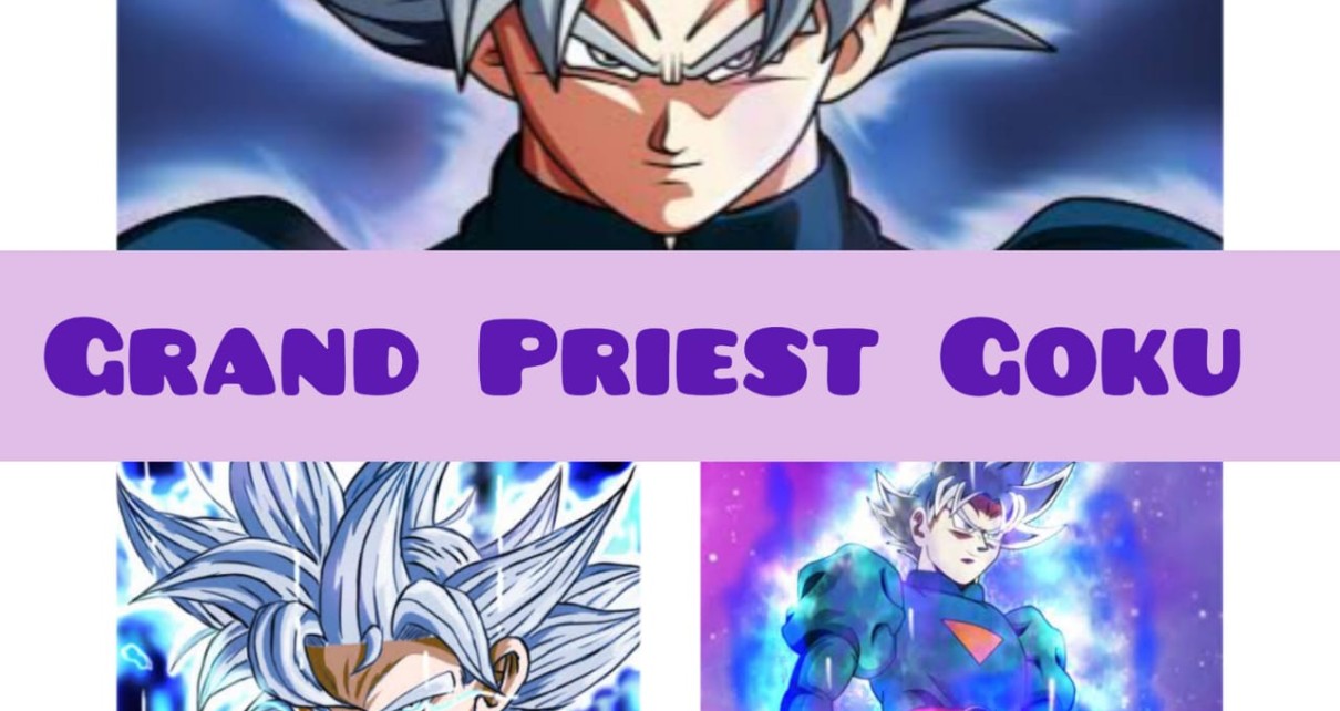 Grand Priest Goku - Strong Goku From Dragon Ball