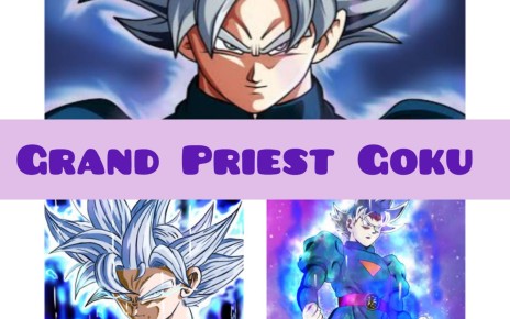 Grand Priest Goku - Strong Goku From Dragon Ball