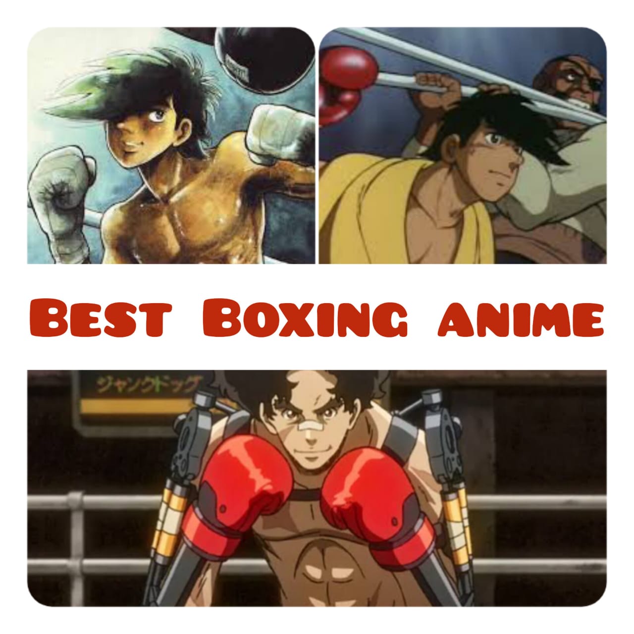 The Top 15 Boxing Anime You Cant Miss