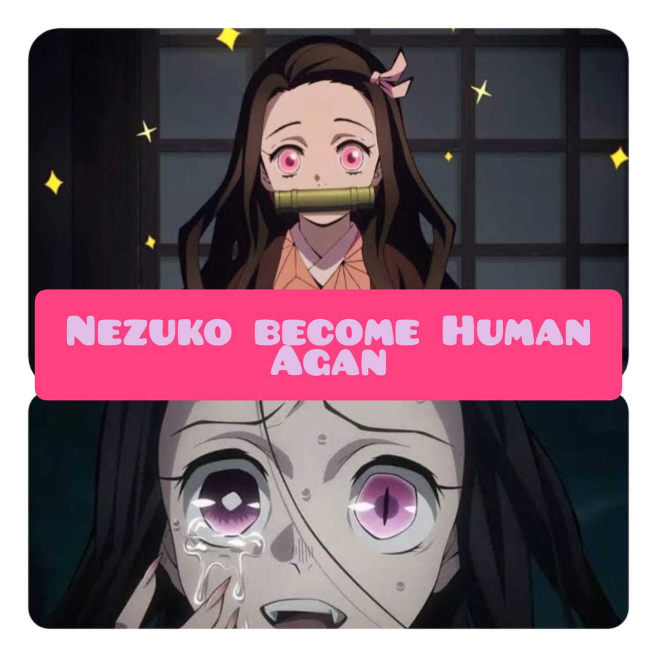 What episode does nezuko become human