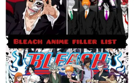 Bleach Anime Filler List - Bleach Filler Guide
