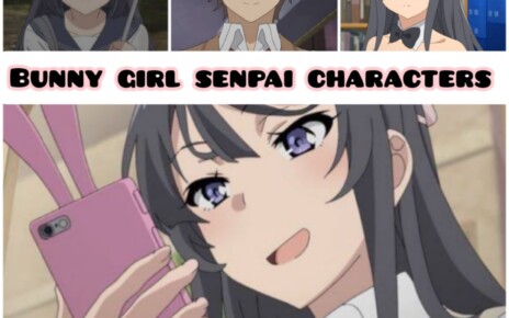 Rascal Does Not Dream of Bunny Girl Senpai Characters