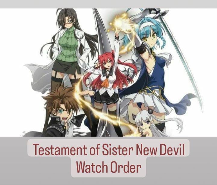 Testament of Sister New Devil Watch Order - A Guide