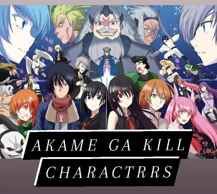 The 10 Best Akame ga Kill Characters - Protagonists