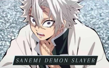 Sanemi Demon Slayer: Appearance - Personality