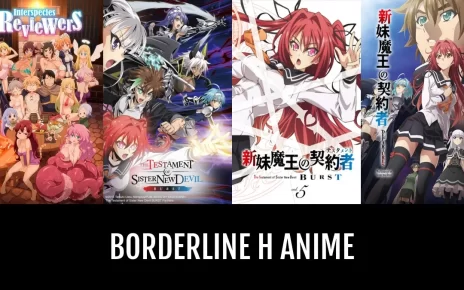 Ecchi Anime That Are Borderline Hentai