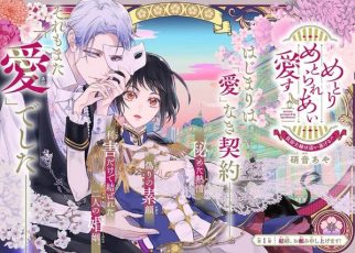 First chapter illustration for Metorimetorareai aisu ~Kamen Fūfu wa Soitogeru!?