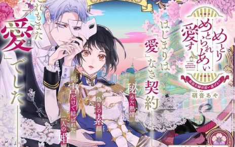 First chapter illustration for Metorimetorareai aisu ~Kamen Fūfu wa Soitogeru!?