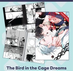 The Bird in the Cage Dreams